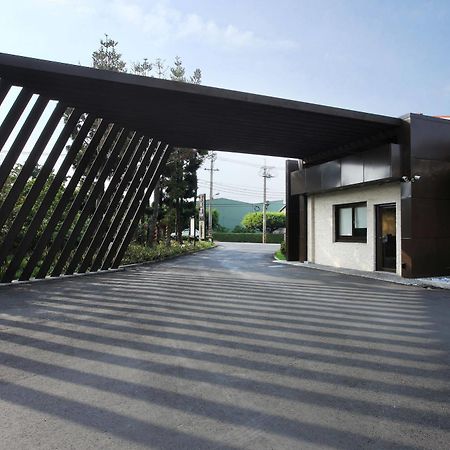 Holly Wood Motel Pitou Ngoại thất bức ảnh